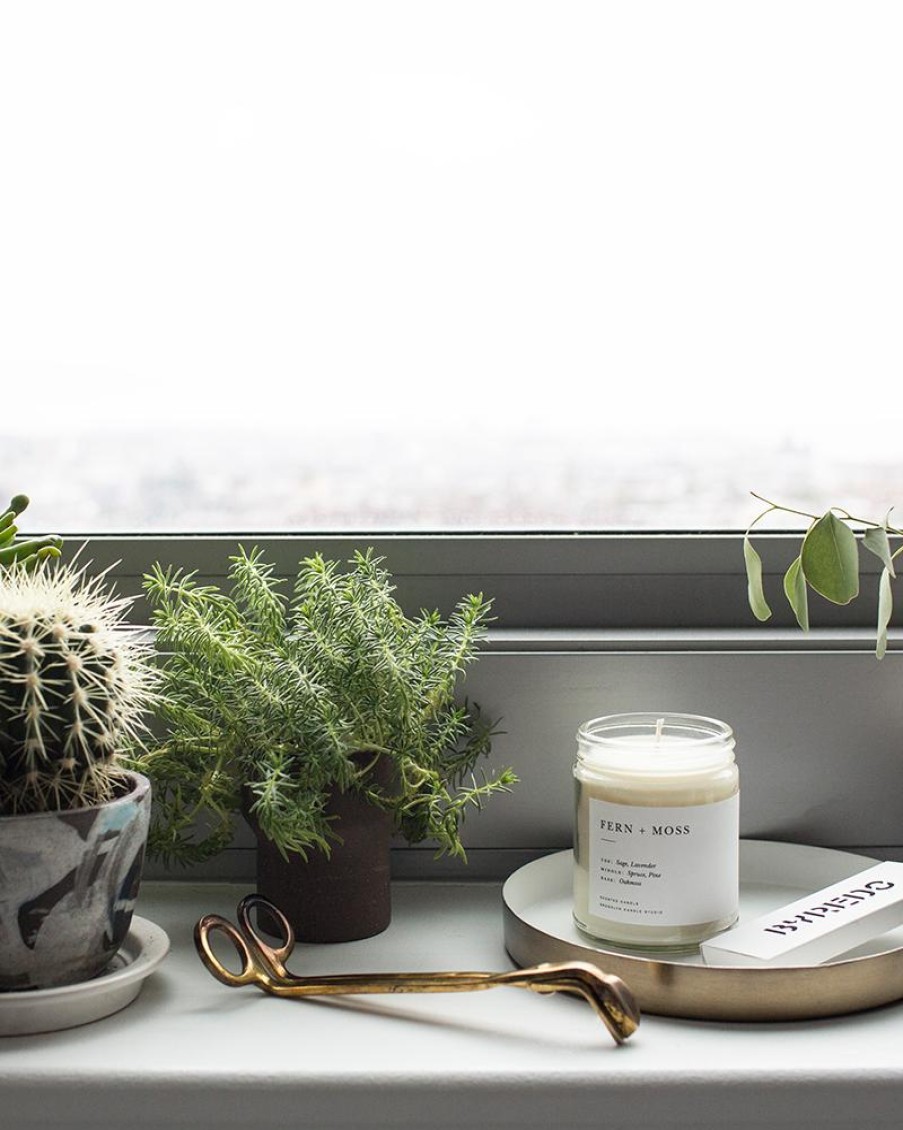 Brooklyn Candle Studio Brooklyn Candle Studio Fern + Moss Minimalist Candle Best